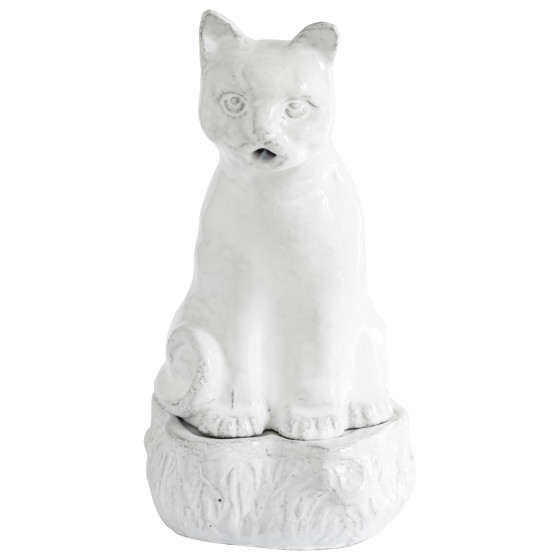 Encensoir Chat