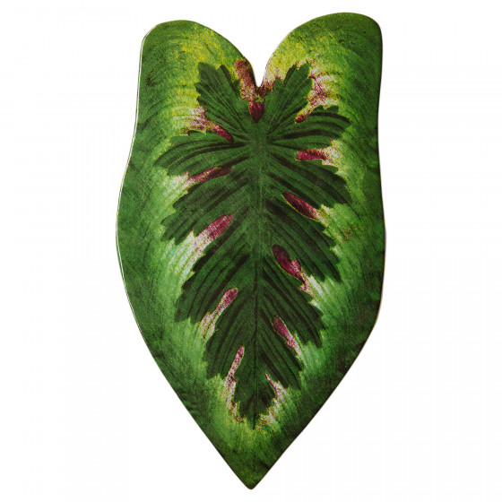 Plat Feuille 48