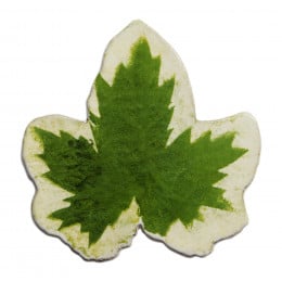 Leaf Platter 58