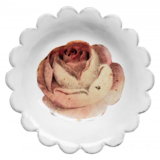 Soucoupe Rose avec Insecte