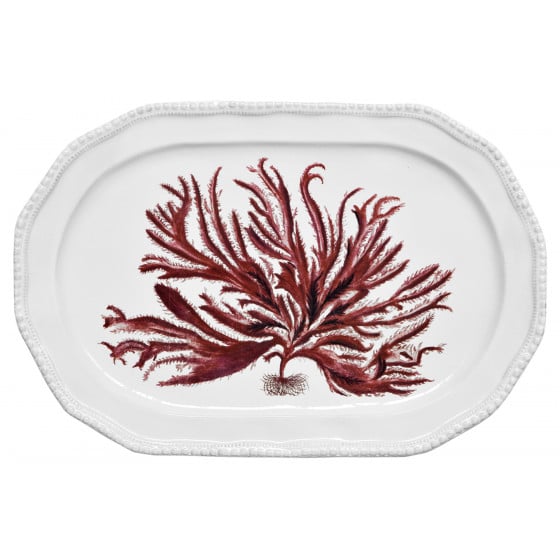 Red Seaweed Platter