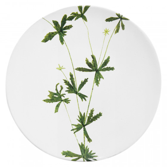 Tormentilla Plate