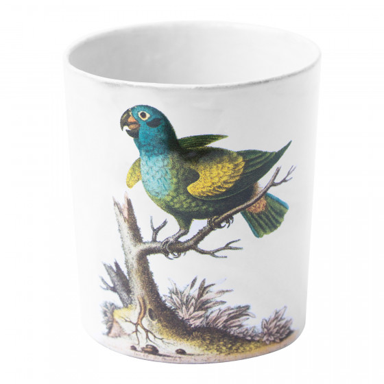 Parrot Tumbler