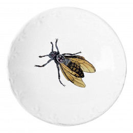 Bee Saucer