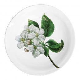 Paradise Apple Blossom Platter