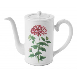 Cafetière Red Star Phlox