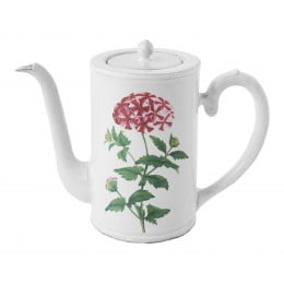 Red Star Phlox Coffee Pot