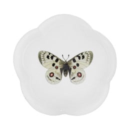 Apollo Butterfly Dinner Plate