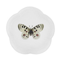 Assiette papillon d'apollon