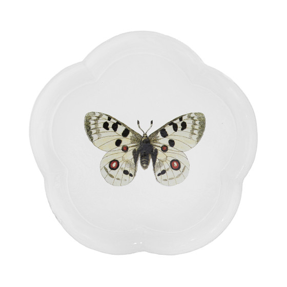 Apollo Butterfly Dinner Plate