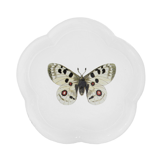 Assiette papillon d'apollon