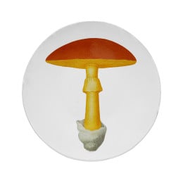 Medium Yellow Agaric Oronge Plate