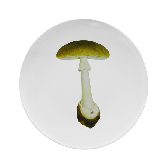 Assiette agaric bulbeux