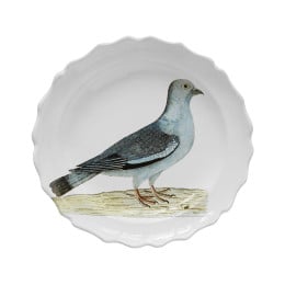 Stock Dove Soup Plate