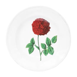 Hundred Leaved Rose Soup Plate