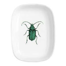 Green Insect Platter