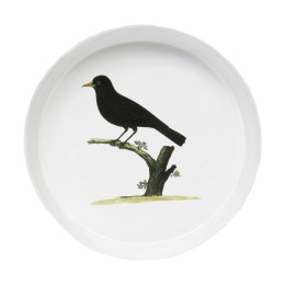 Plat oiseau noir