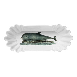 Panorama Dolphin Dish