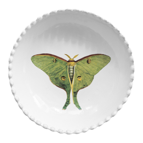 Eyed green butterfly Soup Plate
