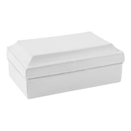 Revolution Box