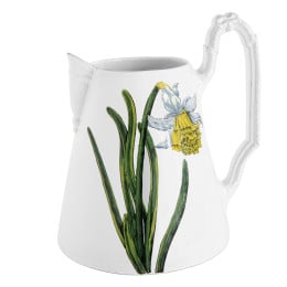 Daffodil Pitcher