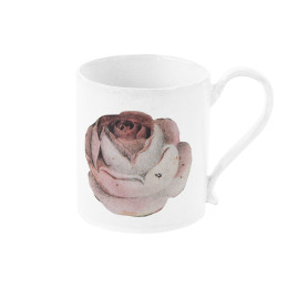 Mug Rose et insecte