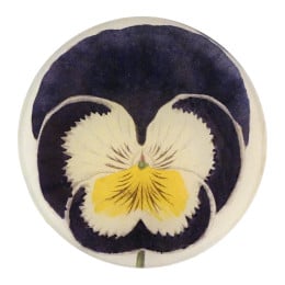 Small King of Heartsease Pansy Plate