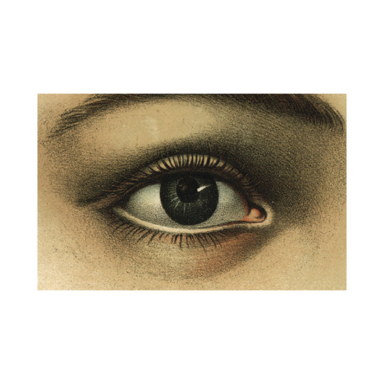 Eye Postcard