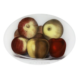 Oval Endicots Apples Platter
