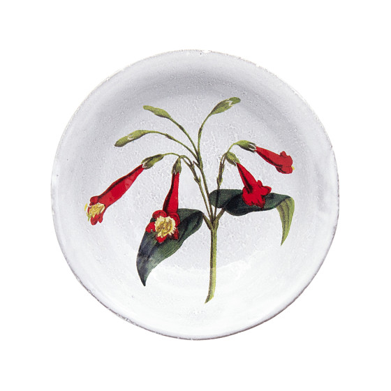 Coupelle creuse Lisianthus