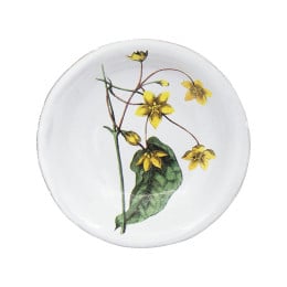 Small Dogbane Deep Dish