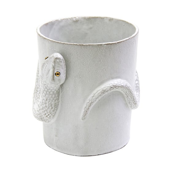 Snake Cup with Golden and Black Eyes