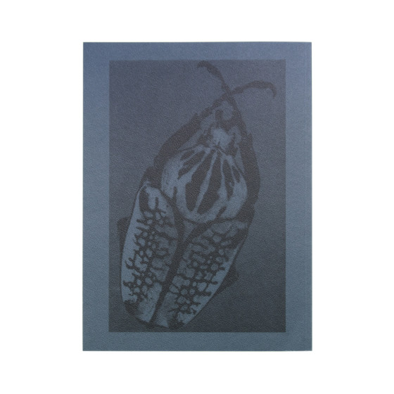 Radial Grammar - Batia Suter