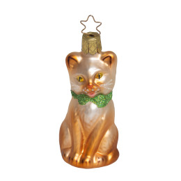 Purr-fect chat marron